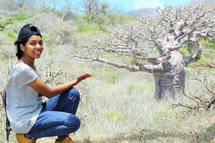 BAOBABS “BOZY BE”